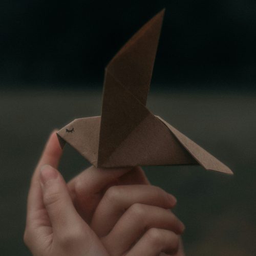 julia-rudakova-BF2t42VNgYg-unsplash
